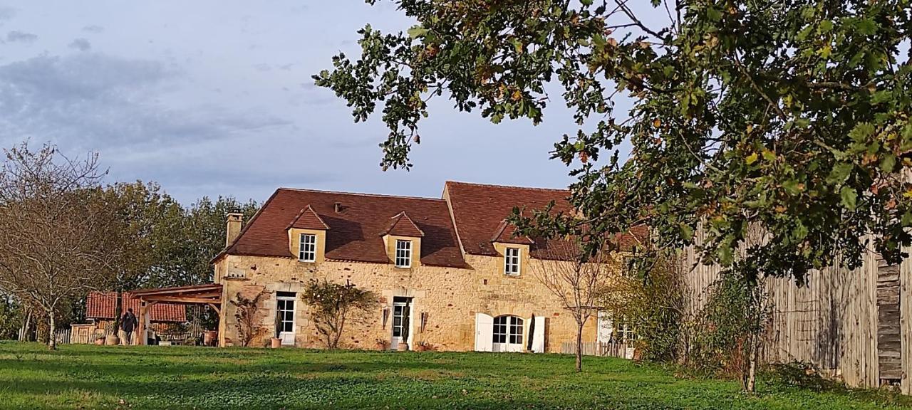 Bed and Breakfast Britavit Saint-Avit-Sénieur Esterno foto