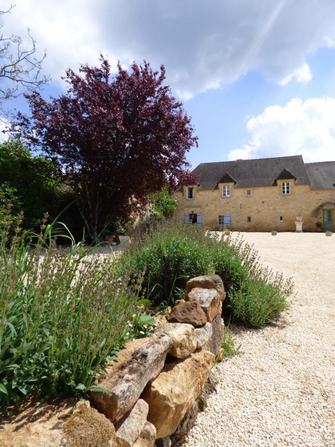 Bed and Breakfast Britavit Saint-Avit-Sénieur Esterno foto