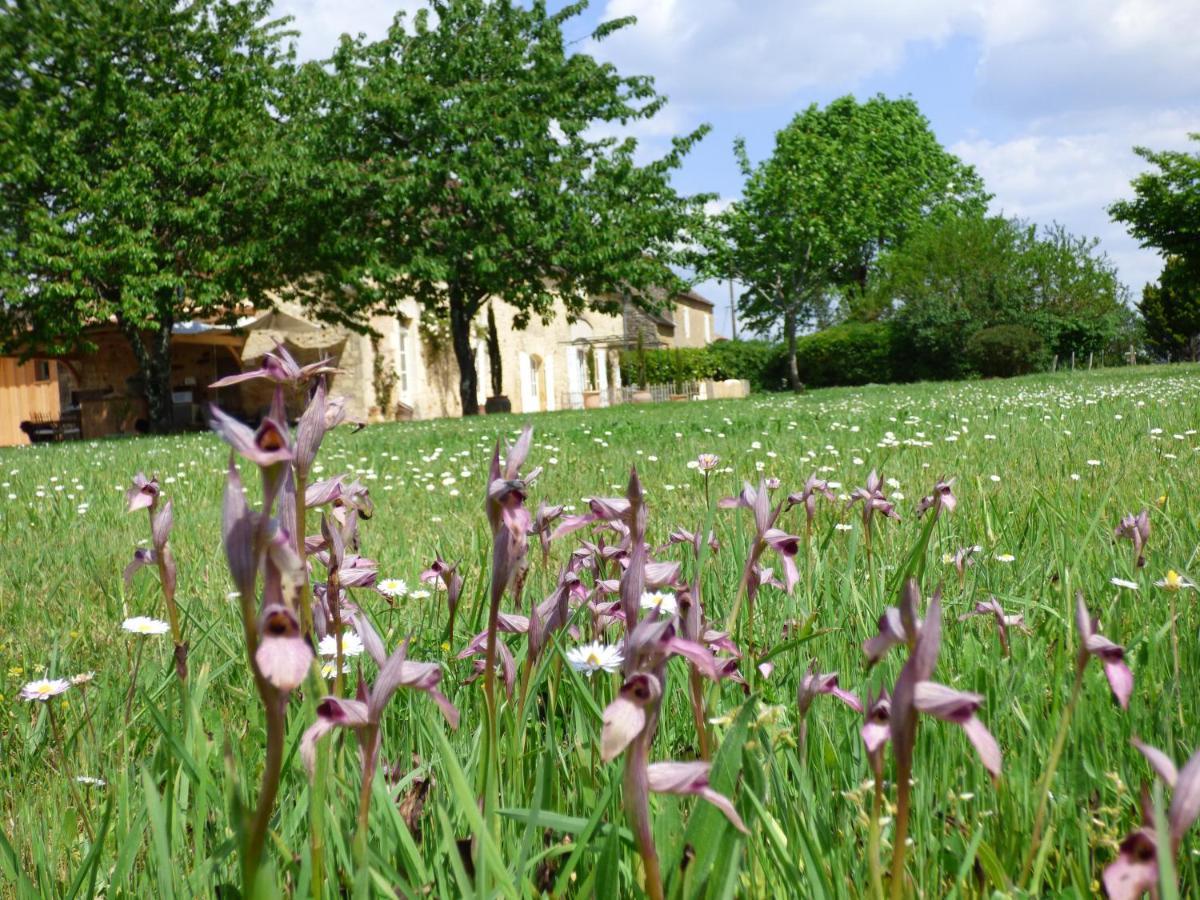 Bed and Breakfast Britavit Saint-Avit-Sénieur Esterno foto