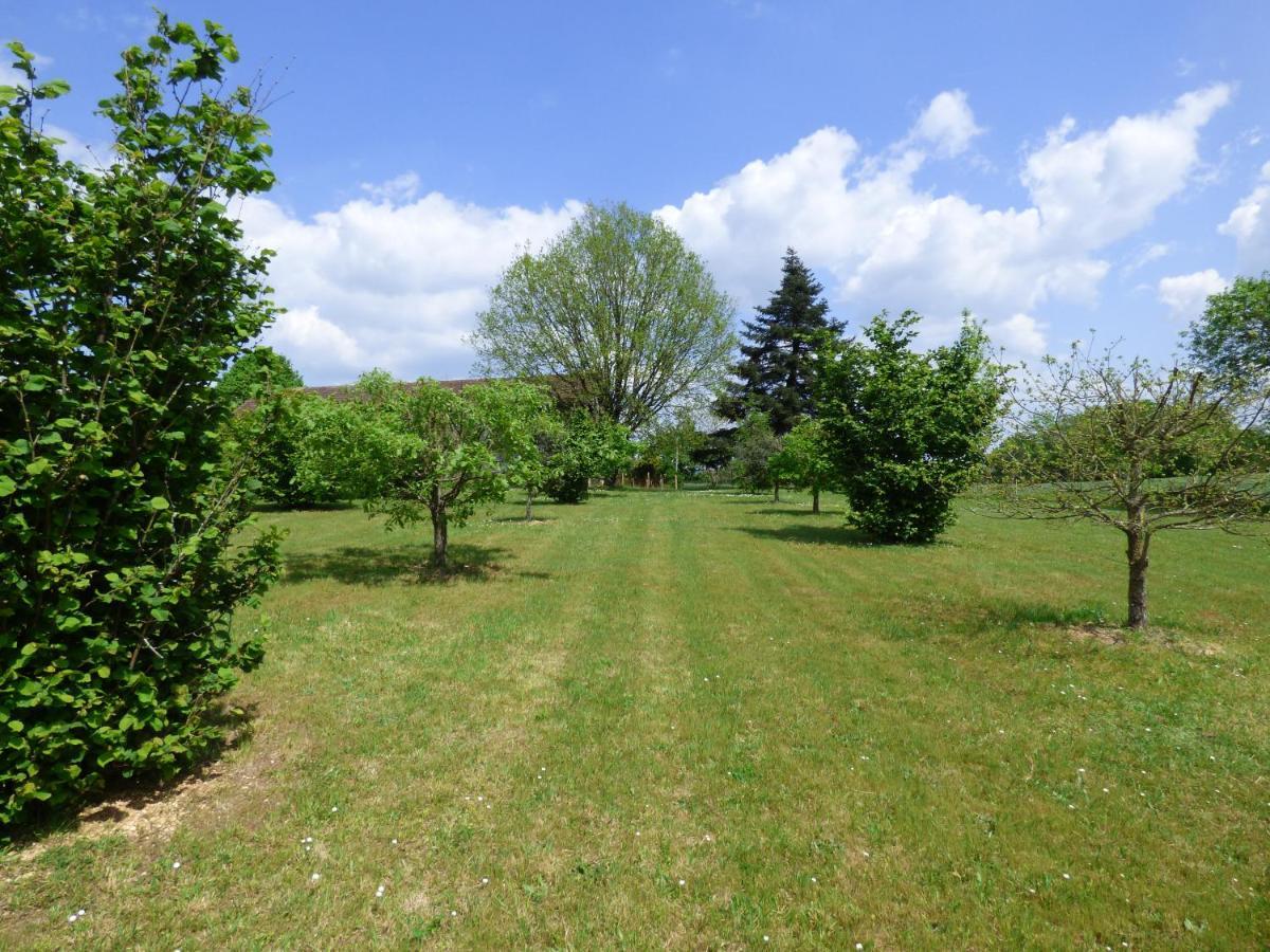Bed and Breakfast Britavit Saint-Avit-Sénieur Esterno foto