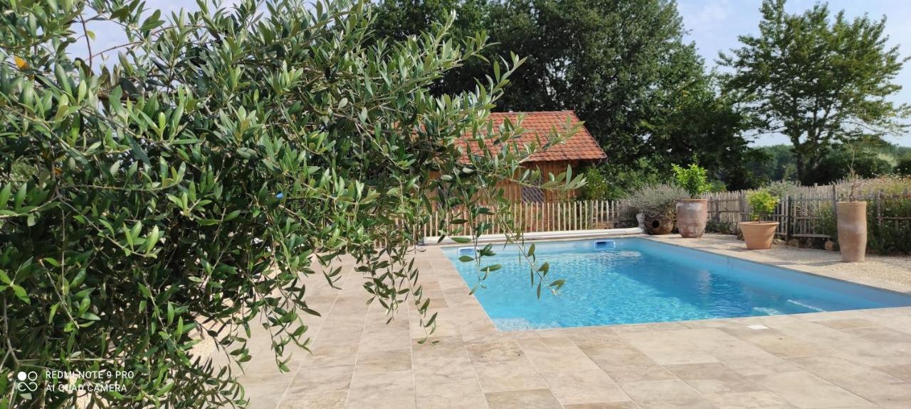 Bed and Breakfast Britavit Saint-Avit-Sénieur Esterno foto